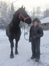 Jon Nauman with his Percheron draft horse, Jack (wearing Mike the horse’s name-tagged harness), at the Carriage Wheel Ranch on Nov. 26. Nauman’s Horse Drawn Carriage Company has been in opera
