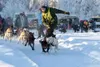 Photo courtesy MCDMA Handler Erik Renneberg sends Arleigh
Reynolds'€™ dog team on its way during the first day of the two-day
Montana Creek Championships on Jan. 9. Reynolds broke the Montana