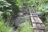 The rickety, makeshift bridges on the Pioneer Peak trail are only one kind of many obstacles racers faced in the inaugural Pioneer Ridge Climb this weekend. CAITLIN SKVORC/Frontiersman
