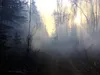 Sarah Sarrloos, Alaska Division of Forestry photoThe heavy winds that buffeted the Mat-Su over the weekend and into Monday evening helped fuel a 328-acre wildfire near Moose Creek. By Tuesday