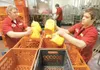 ROBERT DeBERRY/Frontiersman Austin Webre, left, and Chris Bragg
load newly jugged milk into crates at the Matanuska Creamery Monday
afternoon. The creamery processes close to 1,600 gallons a 