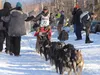 Four-time Iditarod champion Lance Mackey high-fives spectators near Lakeshore Drive in Willow during the restart of the 2016 Iditarod March 6, 2016. CAITLIN SKVORC/Frontiersman.com