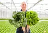 Issue No. 53: Leafy Greens in Michigan