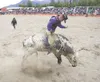 ROBERT DeBERRY/Frontiersman William Fry competes in the bull
riding event at the 2011 Alaska State Fair Rodeo in Palmer. Robert DeBerry
