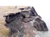 Courtesy photo Where land meets ocean can result in some
spectacular transformations.