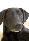 Deep thinker