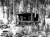Nancy Lake public-use cabin No. 1 rests on the shoreline of
Nancy Lake.Jeremiah Bartz/ Frontiersman