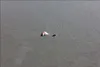 This Cessna 207, owned by James Poelman, is seen almost completely submerged in the water near the mouth of the Susitna River Wednesday, June 13, 2018. The plane was involved in a midair coll