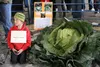 The new kid king of cabbage, Keevan Dinkel, 10, and his 92.3-pound cabbage, Bob, took top honors in the 18th Annual Giant Cabbage Weigh-Off Friday evening at the Alaska State Fair. HEATHER A.