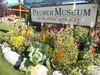 Palmer Museum