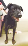 Needs a home