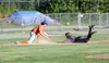 Palmer's Owen Hayes tags a runner out at third during a win over Dimond. Jeremiah Bartz/Frontiersman