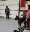 Heather Turri leads a recall training workshop at The Classy Canine. Jacob Mann/Frontiersman