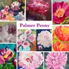 Palmer Buzz