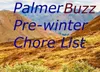 Palmer Buzz