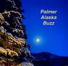 Palmer Buzz