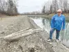 When Power Plant outflow is flowing through Eklutna Tailrace at a more normal level and water is backed up by higher Knik River flows this snag is often underwater far enough that it is niot 