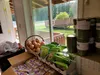 Sutton Food Pantry Photos by Jacob Mann/Frontiersman