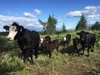 Farmer Retail 6.jpg