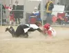 Colony sophomore catcher Sam Everett tags out the runner at home
during Thursday's game against West Valley. (ROBERT
DeBERRY/Frontiersman)