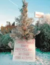 Alaskans for Litter Prevention and Recycling and Carrs Safeway are hosting free Christmas tree recycling. Courtesy photo