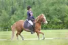 ROBERT DeBERRY/Frontiersman Ann Spencer and spud compete in the
dressage event at Saturday's Lazy Mountain Horse Trials
competition. This event requires precision and obedience from the
rider