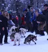 Iditarod fans Tim Rockey/Frontiersman
