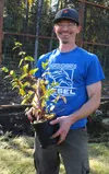 Ariel Cannon, President of the Meadow Lakes Community Development, got the idea of planting a fruit orchard after seeing grants available through the Alaska Department of Agriculture for food
