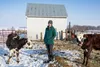 Ranae Dietzel has found a comfortable balance between tending the land, minding the animals, raising a family — and making and selling cheese. Photo by Kathryn Gamble.