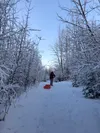 The Mat-Su offers numerous options for those in search of trail systems that are not crowded during the holiday weekend. Courtesy of Amy Buschatz