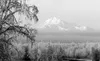 Mount McKinley peeks through the fog last winter. Denali
National Park and Preserve is hosting the second Winterfest
Celebration next month. Frontiersman file photo.