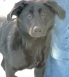 Take me home