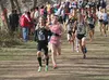 Former Palmer High School standout Wylie Mangelsdorf, a Principia College senior, leads the chase pack during the NCAA Division III National Championships in Hanover, Ind., last Saturday. Man