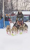 Veteran musher Jake Berkowitz leaves the starting line at the
Saturday start of the Knik 200 Joe Redington Sr. Memorial Sled Dog
Race on Knik Lake. Berkowitz finished behind Lance Mackey, but