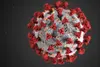 army coronavirus