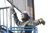 Sampson Steel Co. Inc. employee Kini Utaafili signals to forklift operator Rick Eckland to lower a section of railing so the bolt holes align to attach the rail to the new 30-foot tall wildli