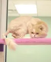 Really, really needs a friend