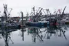 Fishing boats line a dock at Kodiak’s St. Paul Harbor on Oct. 3. A variety of winches are seen on the boats’ equipment. Entanglements in winches and the cables attached to them can cause seri