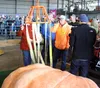Anchorage farmer Dale Marshall looks at his pumpkin that broke a state record during the Alaska State Fair Great Pumpkin Weigh-off in Palmer. Jacob Mann/Frontiersman