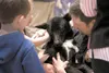 2013 Iditarod Trail Sled Dog Race finisher Matt Failor cradles his sled dog Ules, who is a bit nervous from all the attention paid her by the 519 students at Goose Bay Elementary School’s ‘Ru
