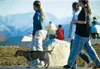 Wasilla operates just a handful of parks -- Iditapark, above,
Newcomb on Wasilla Lake, Bumpus off Knik-Goose Bay, Nunley near
city hall and Lake Lucille Park. The concept of smaller,
neighbor