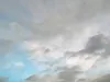 Hindcast