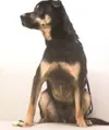 Strike a pose
