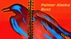 Palmer Buzz