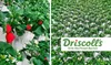 Driscoll's vertical farm