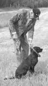 Sid Sherwood of Chugiak works with his young dog, Spirit, at the
Midnight Sun Gundog Association's event last weekend. EOWYN LeMAY
IVEY/Frontiersman reporter.