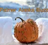 Palmer Buzz