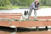 ROBERT DeBERRY/Frontiersman Chantz, a 2-year-old border collie,
launches from the dock as owner Chanelle Barron watches Sunday at
lake Lucille during the Alaska DockDogs event. This was Chant