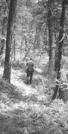 A hiker makes his way down a trail in the Gates of the Mountains
Wilderness area in western Montana. The area is a haven for nature
enthusiasts, as it hosts more than 120 species of birds, co
