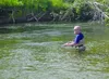 An eager angler casts a line into Willow Creek during a recent summer. The Alaska Department of Fish and Game announced a set of restrictions for king salmon fishing for the Susitna and Littl